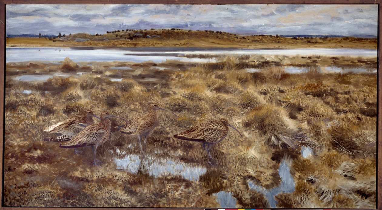 Curlews Birds in the Marshes by Bruno Andreas Liljefors