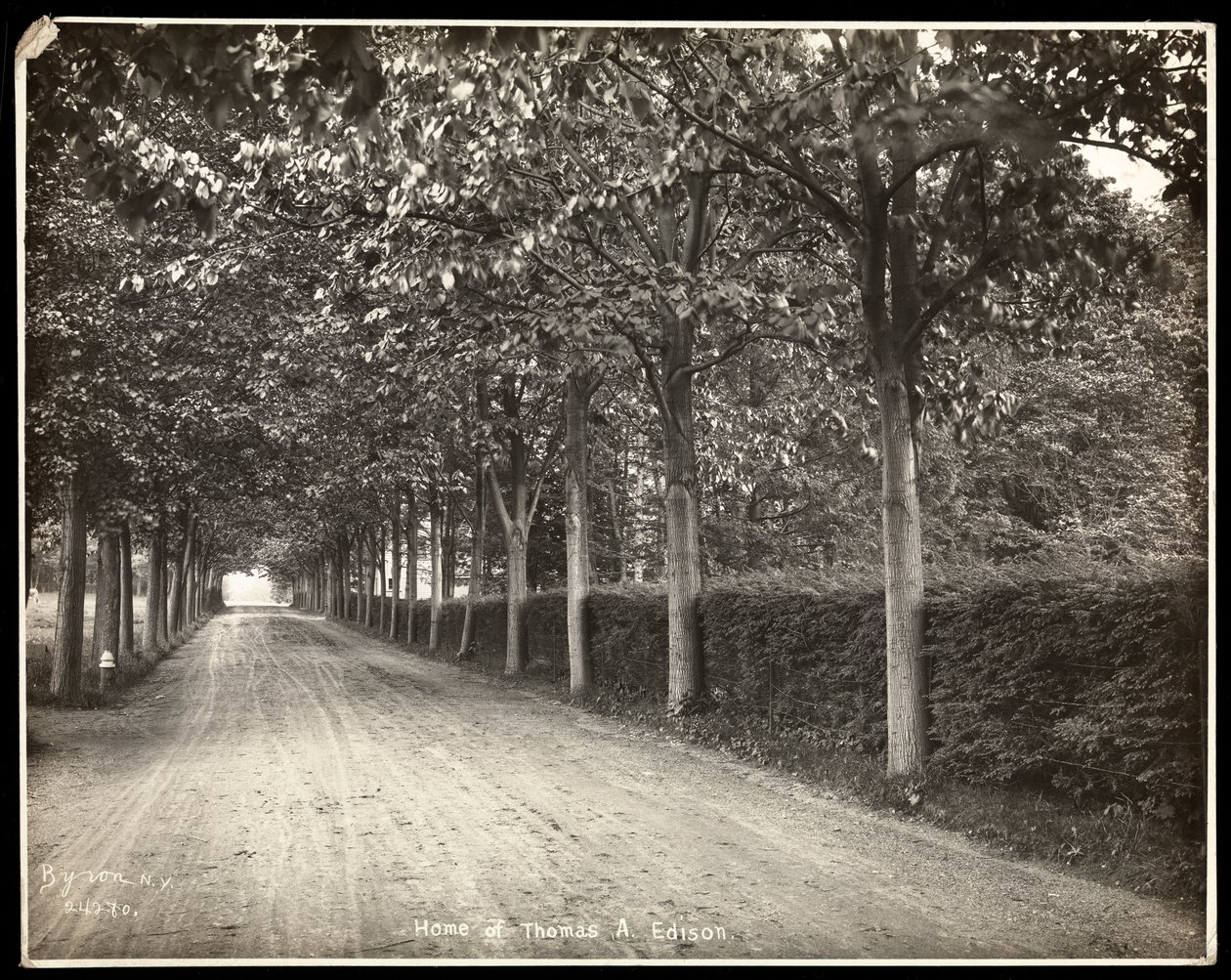Tree-lined drive at the home of Thomas Edison (1907) by Byron Company