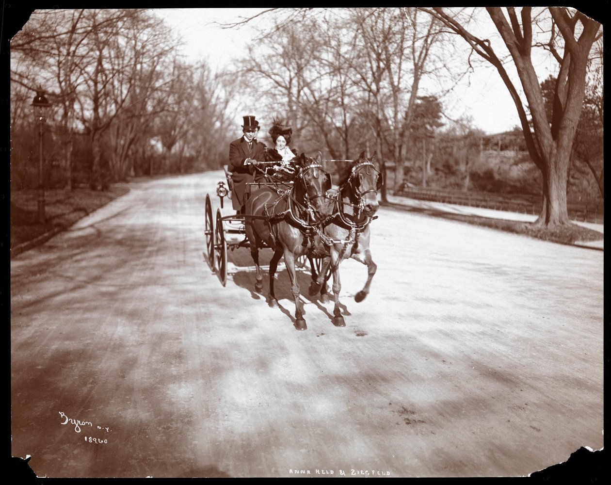 Anna Held and Florenz Ziegfeld driving a horsedrawn carriage, New York, 1904 by Byron Company