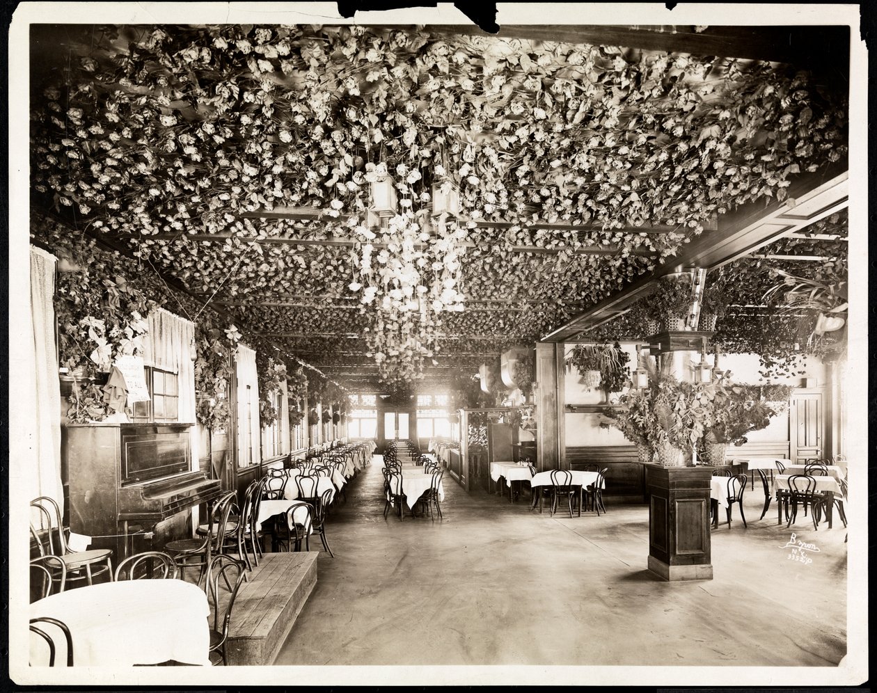 The dining room at the Hotel Dolphin, New York, 1915 by Byron Company