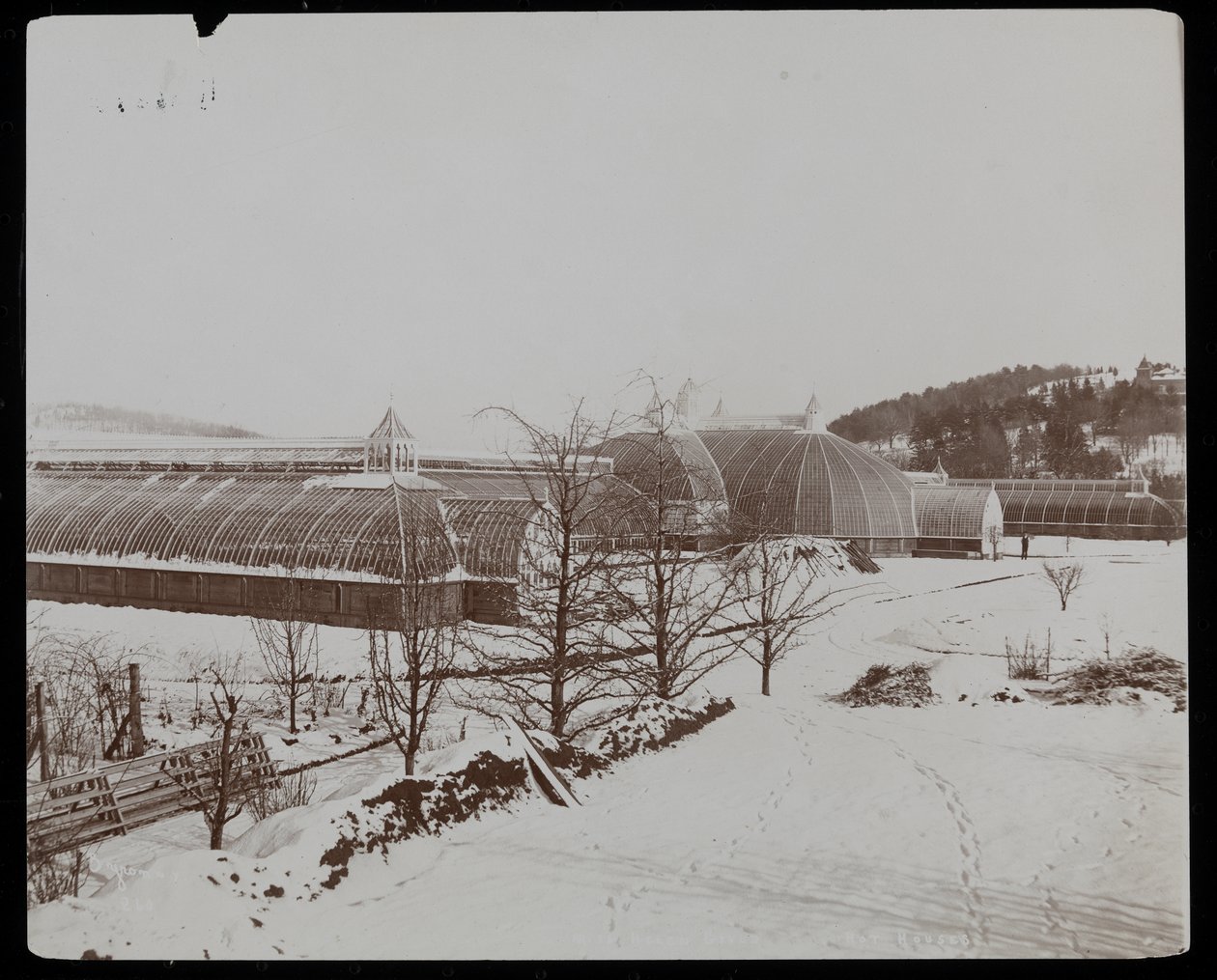 The Greenhouses in the Snow at the Helen Gould Estate (late Jay Gould Residence) at Tarrytown, New York, 1894 by Byron Company