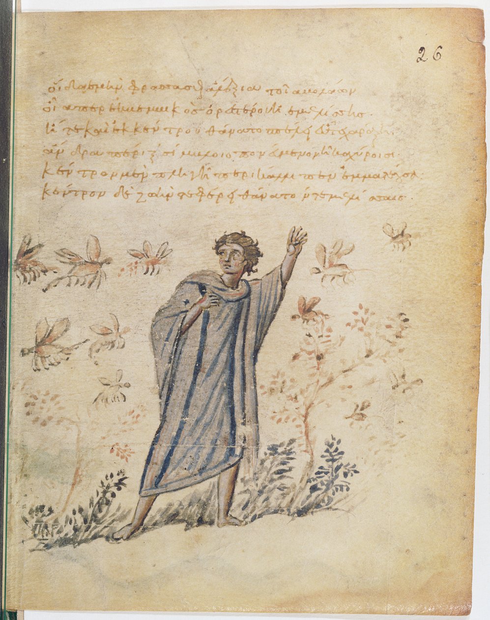 Man escaping from bees, illustration from Theriaca of Nicander of Colophon