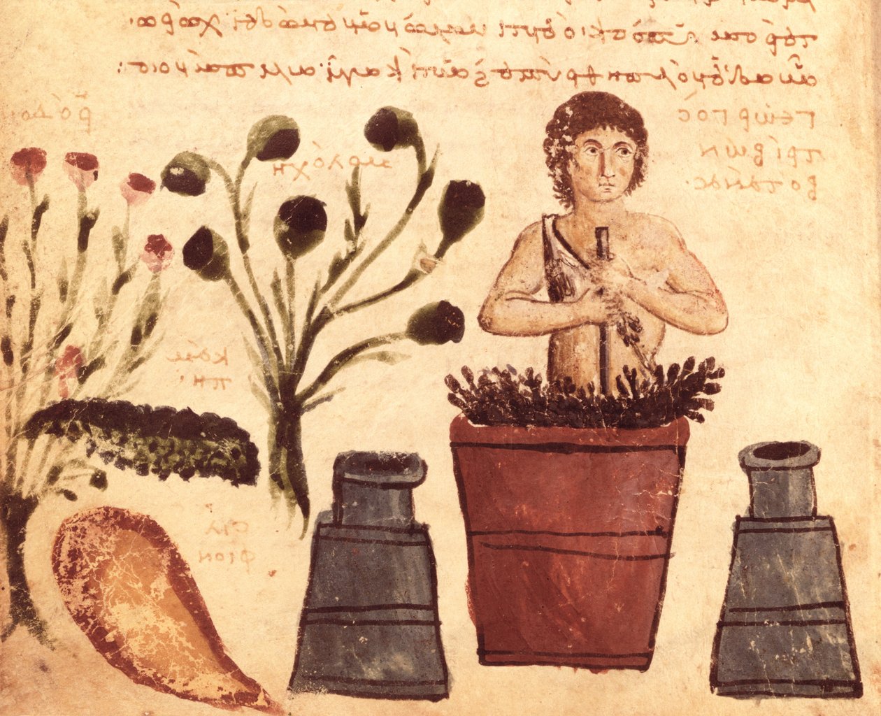 A Peasant Preparing an Ointment to Protect Against Snakes, from the Theriaca of Nicander of Colophon by Byzantine