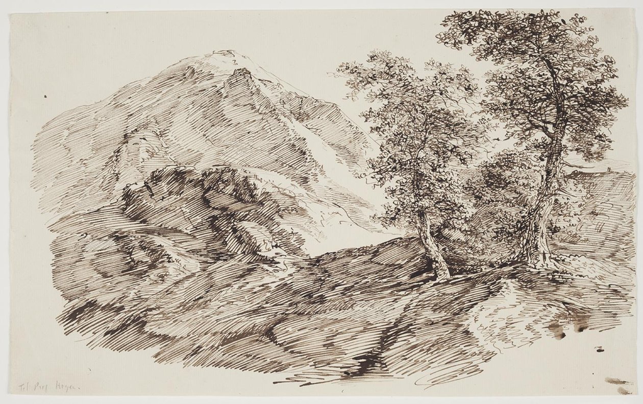 Mountain Landscape with Trees by C.F. von Rumohr