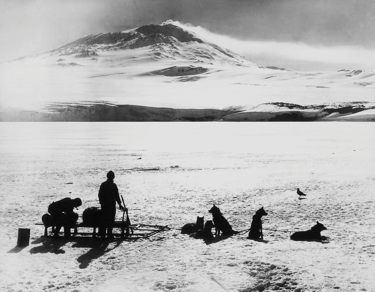 South Pole expedition by Robert Falcon Scott (1868-1912), explorers before Erebus volcano on Ross island, January 15 by J.B. and Brown J. Rowbotham