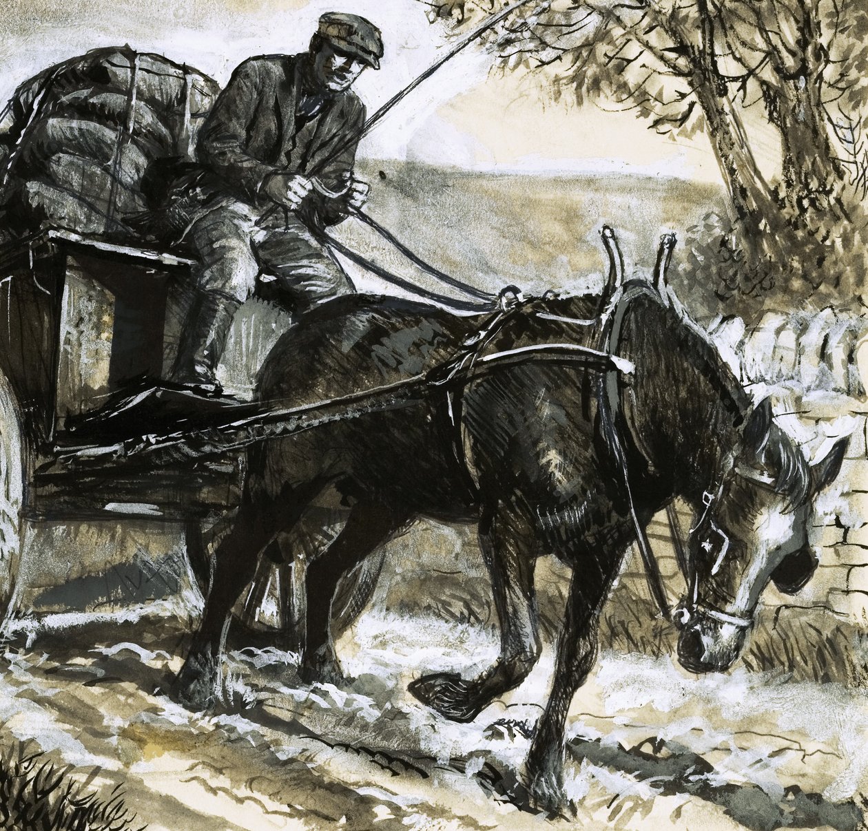 Horses were underfed and overworked by C.L. Doughty