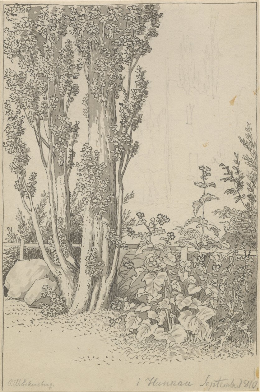 Poplars and Wild Plants at Hannau by Christoffer Wilhelm Eckersberg