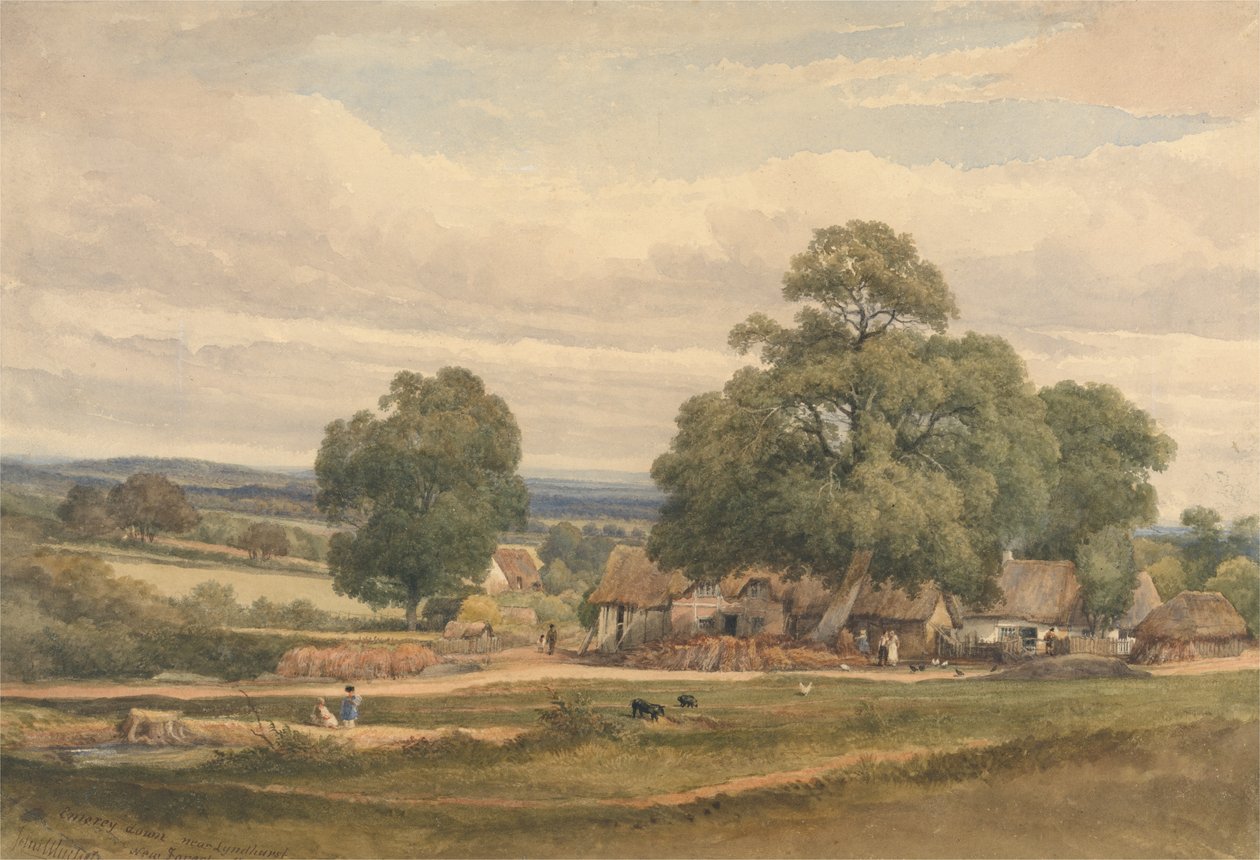 Emerey Down near Lyndhurst, New Forest, Hants by C. John Mayle Whichelo