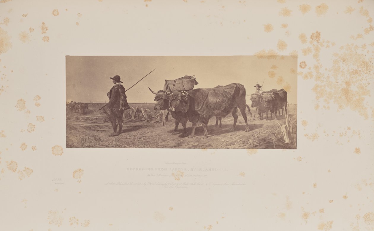 Returning from Labour by Caldesi and Montecchi