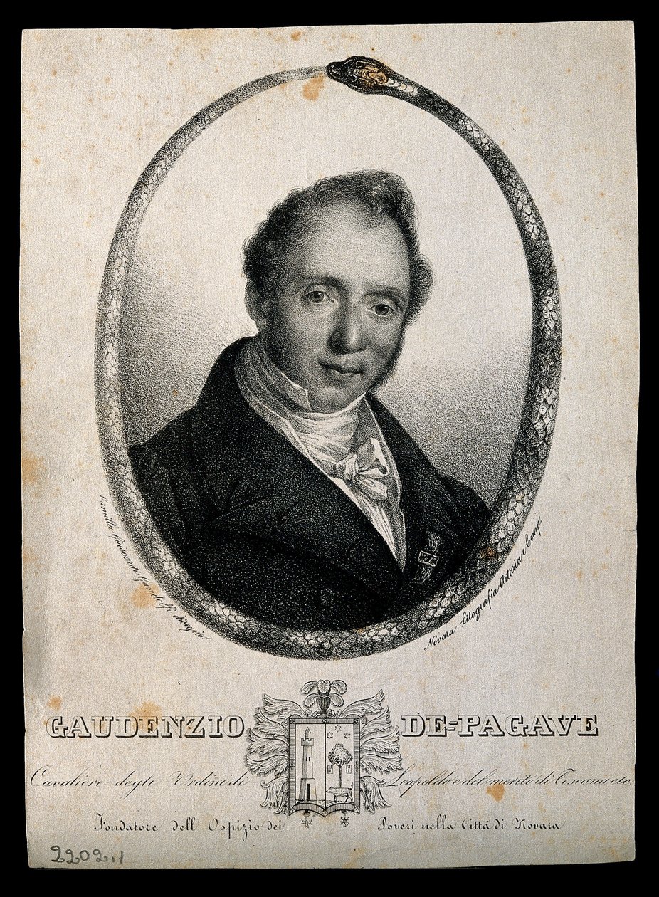 Gaudenzio de Pagave by Camilla Guiscardi