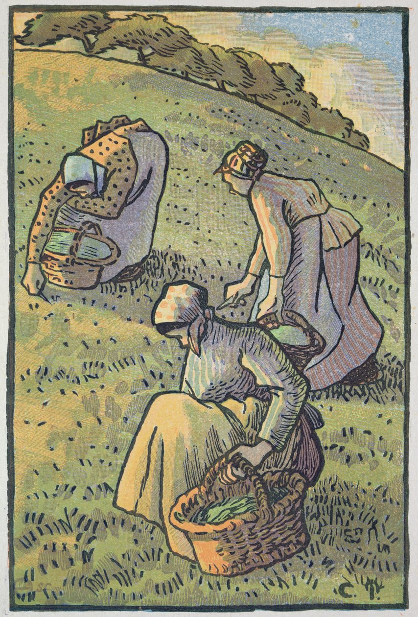 Women Gathering Mushrooms, from 