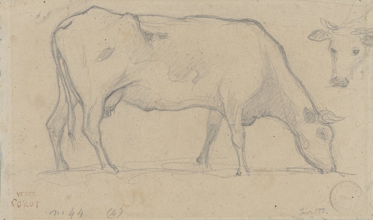 Grazing Cow, with Another Cow