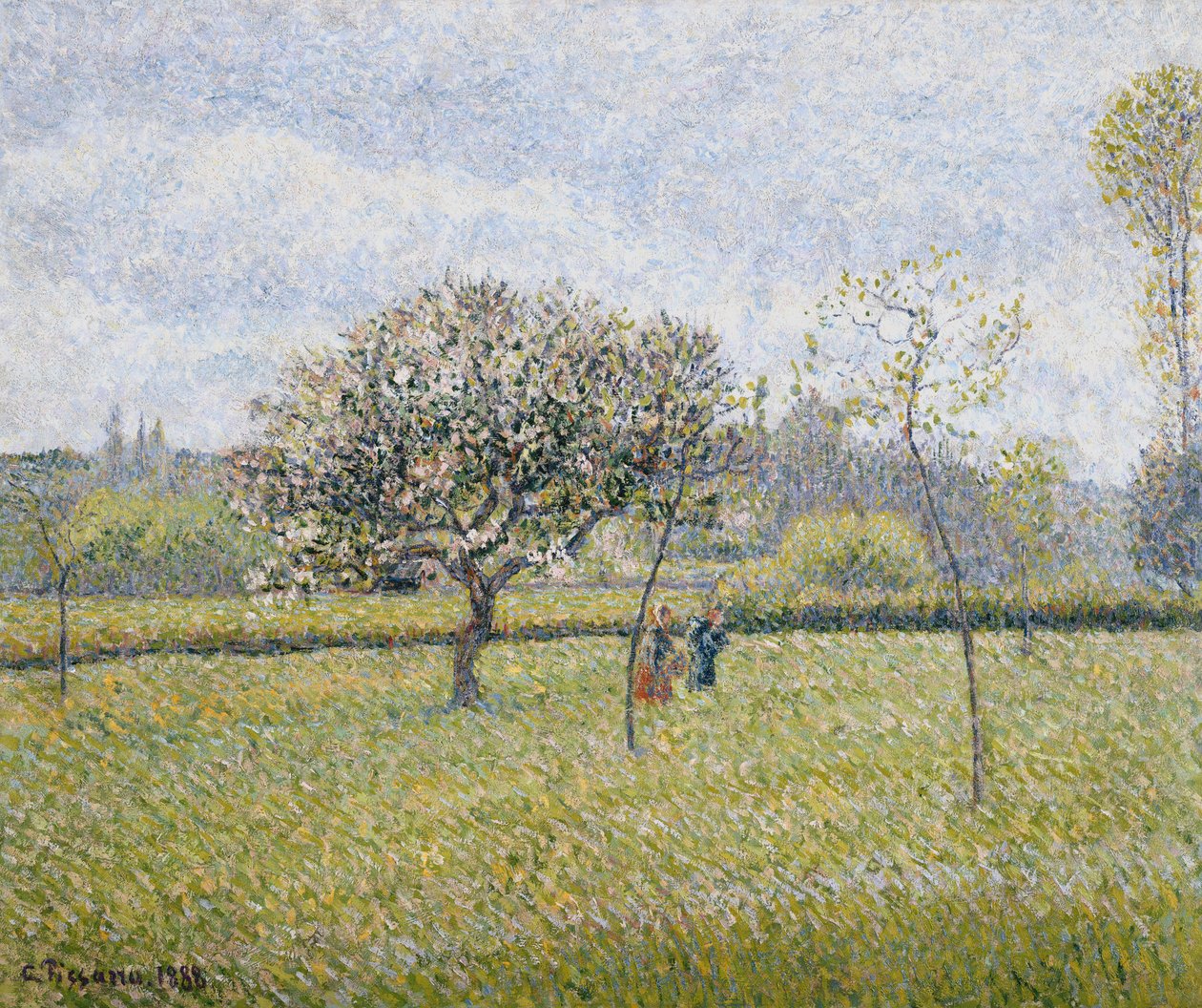 Apple Tree in Flower at Eragny by Camille Jacob Pissarro