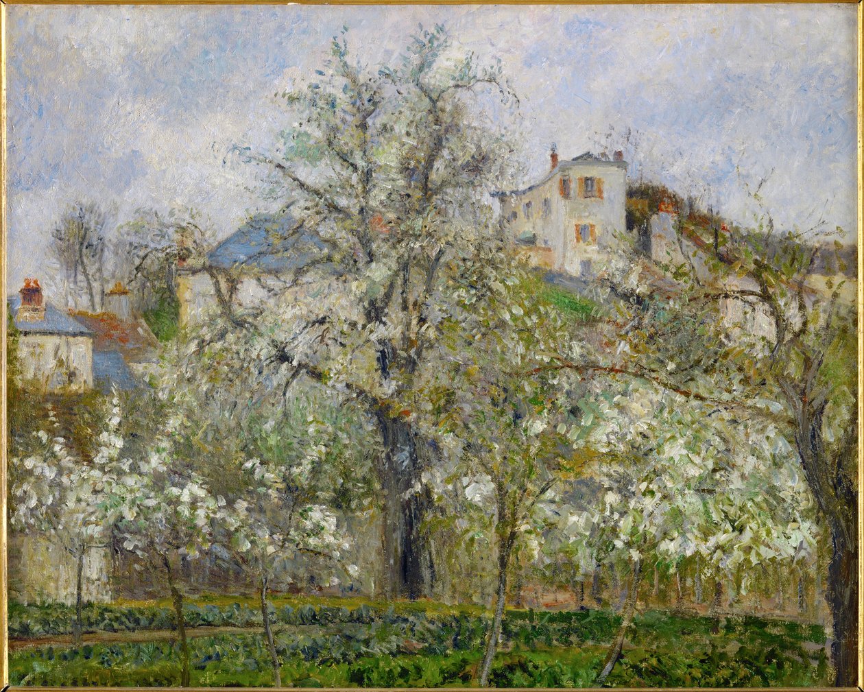 Spring, Pear Blossoms by Camille Pissarro