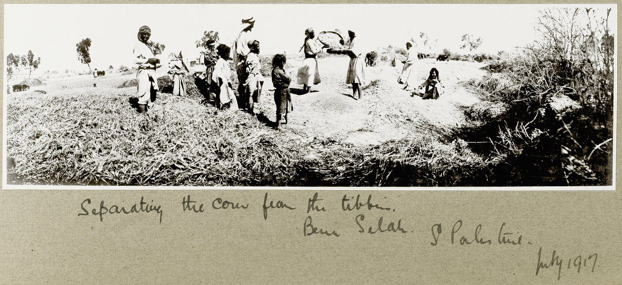 Bedouins separating corn, Beni Saleh, July 1917 by Capt. Arthur Rhodes