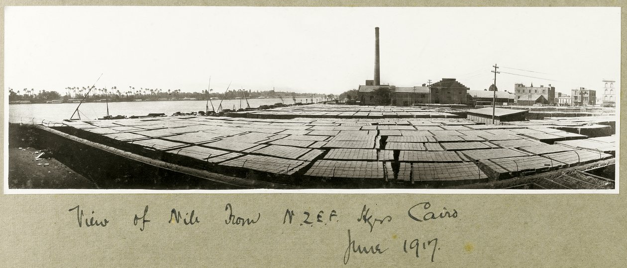 View of the Nile from N.Z.M.F.A. Headquarters, Cairo, June 1917 by Capt. Arthur Rhodes