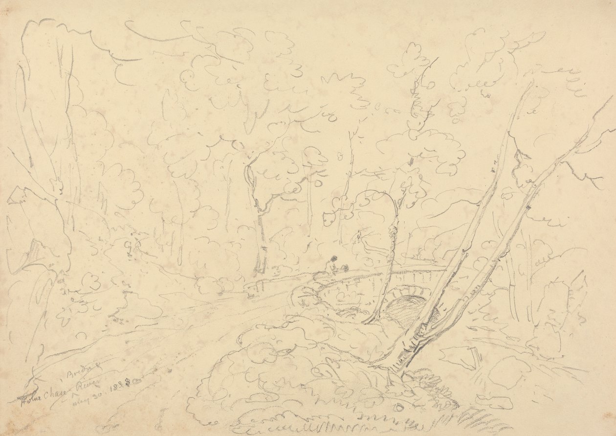 Holne Chase Bridge and River, 30 May 1833 by Capt. Thomas Hastings