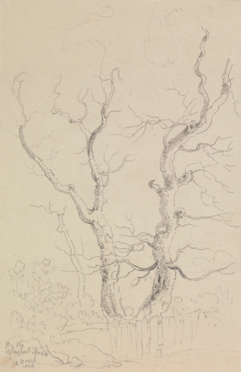 On the Newport Road, Isle of Wight by Capt. Thomas Hastings