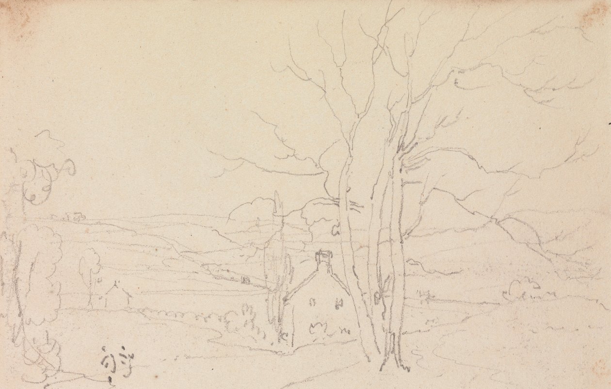 Sketch of a Large Tree and a Cottage by Capt. Thomas Hastings