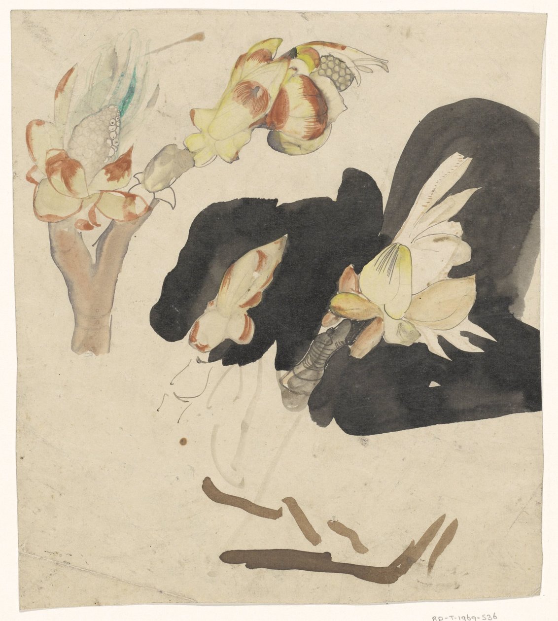 Chestnut Buds by Carel Adolph Lion Cachet