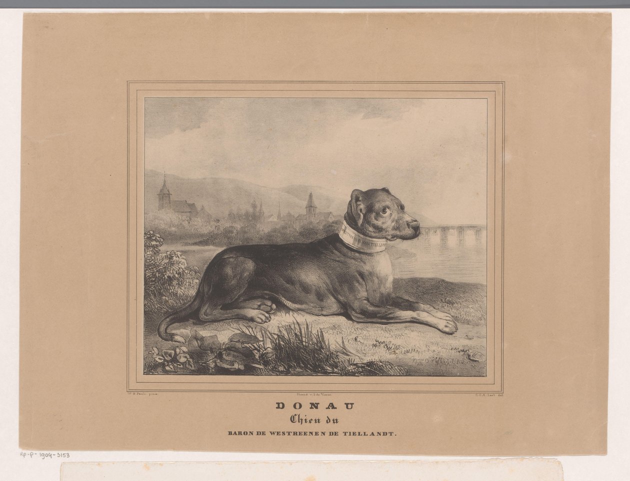 Dog Donau by Carel Christiaan Antony Last