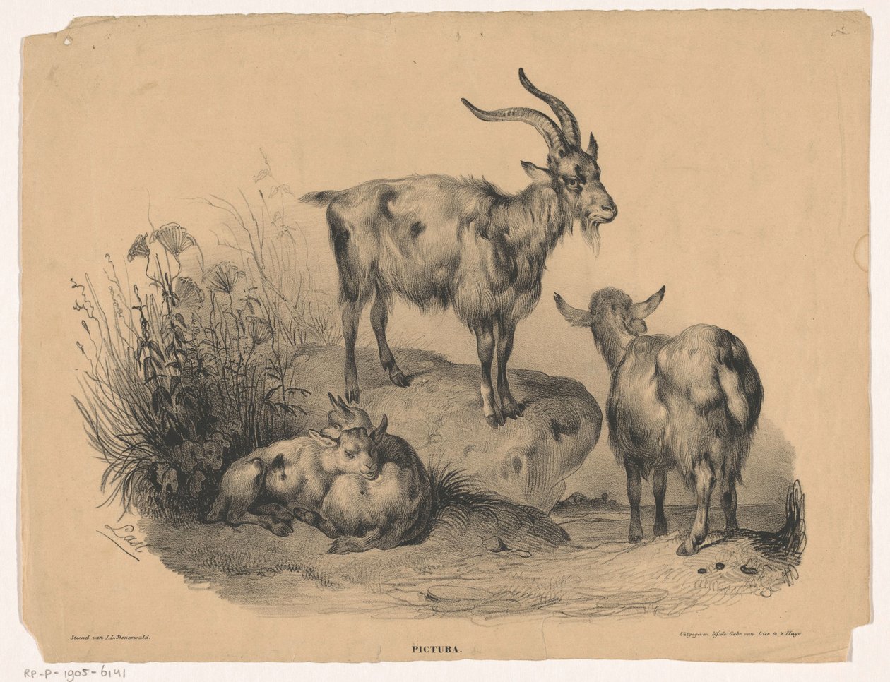 Four Goats (Pictura) by Carel Christiaan Antony Last