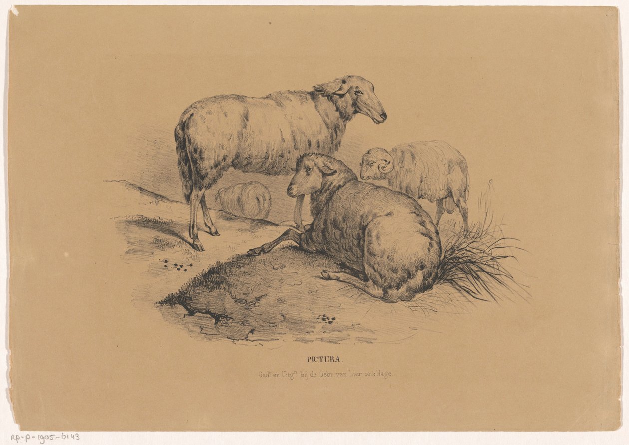 Four Sheep by Carel Christiaan Antony Last