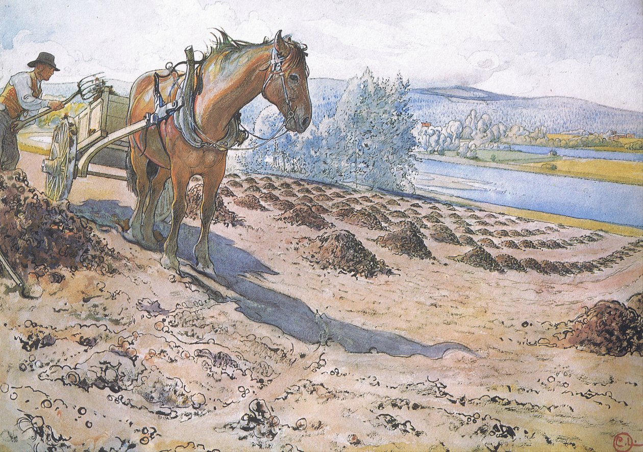 Muck spreading on a fallow field by Carl Larsson