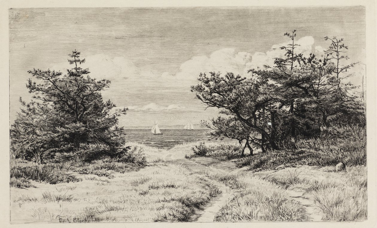 View of the Sea by Carl Bloch