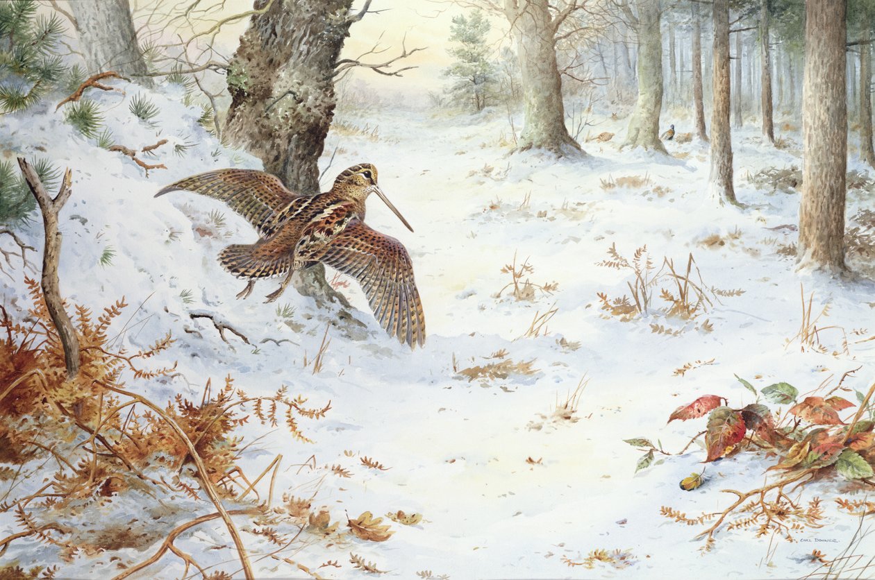 Snipe in Wooded Landscape by Carl Donner