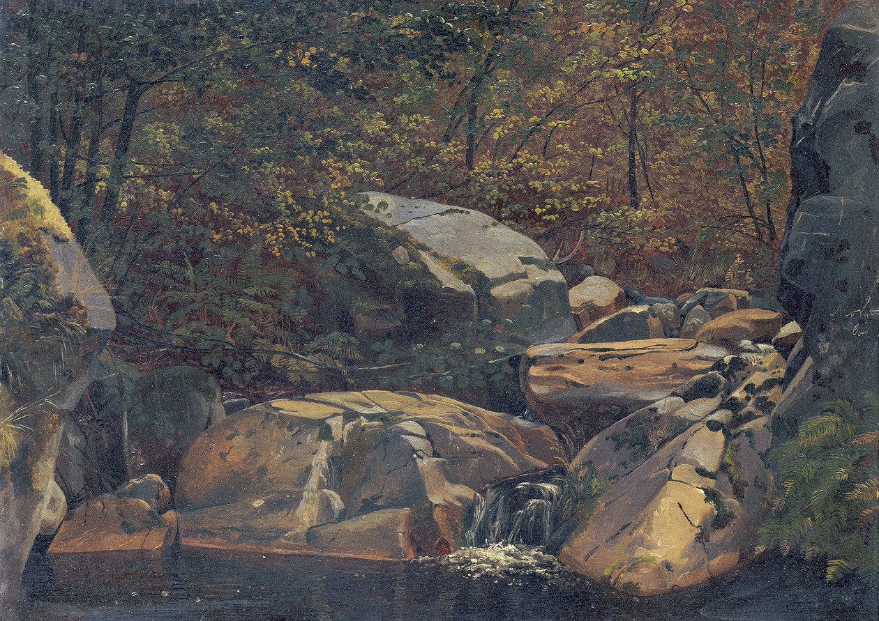 Forest Stream (Waterfall between Rock Blocks) by Carl Morgenstern