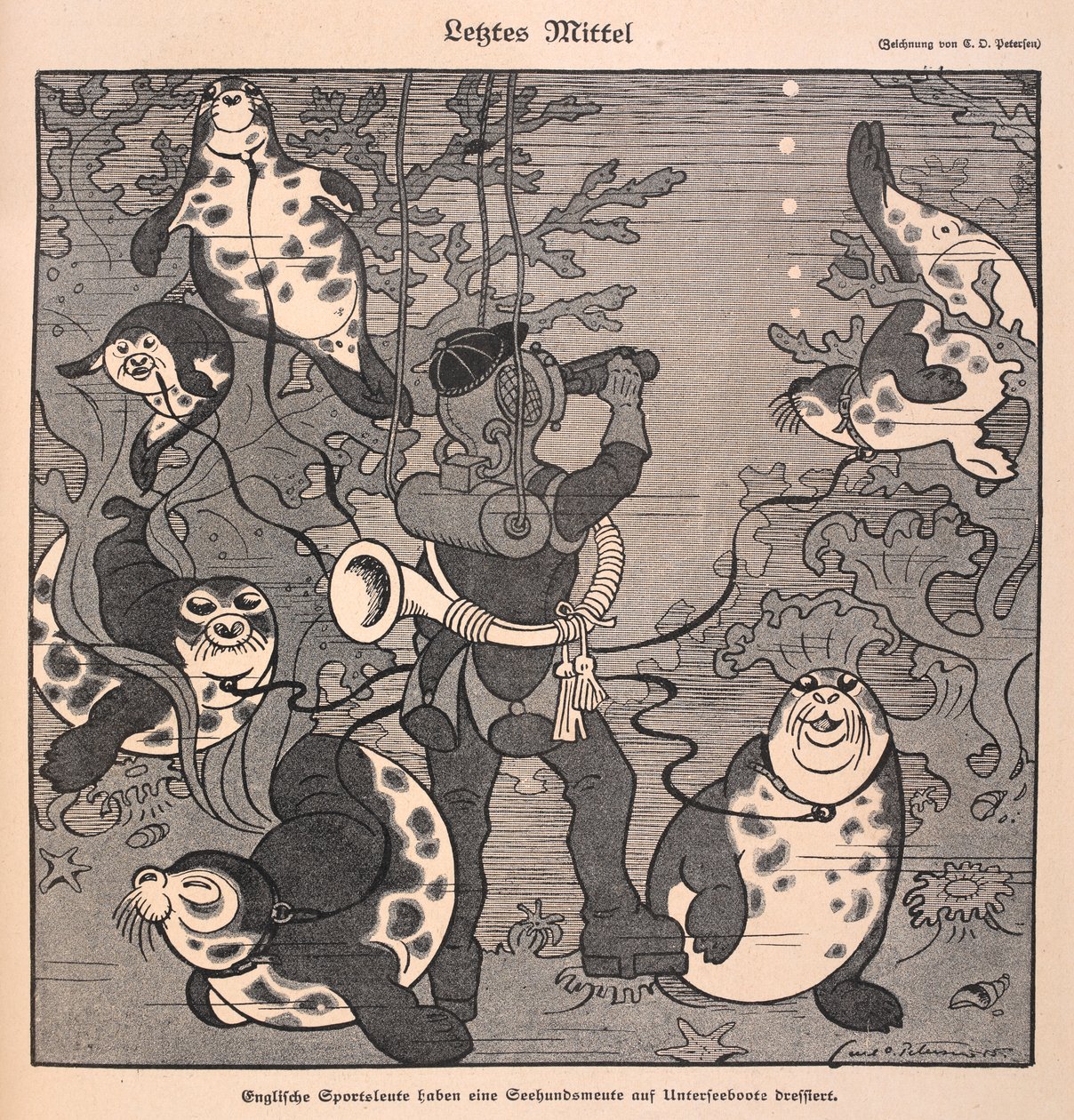 Last resort. A diver with seals; underwater scene by Carl Olof Petersen