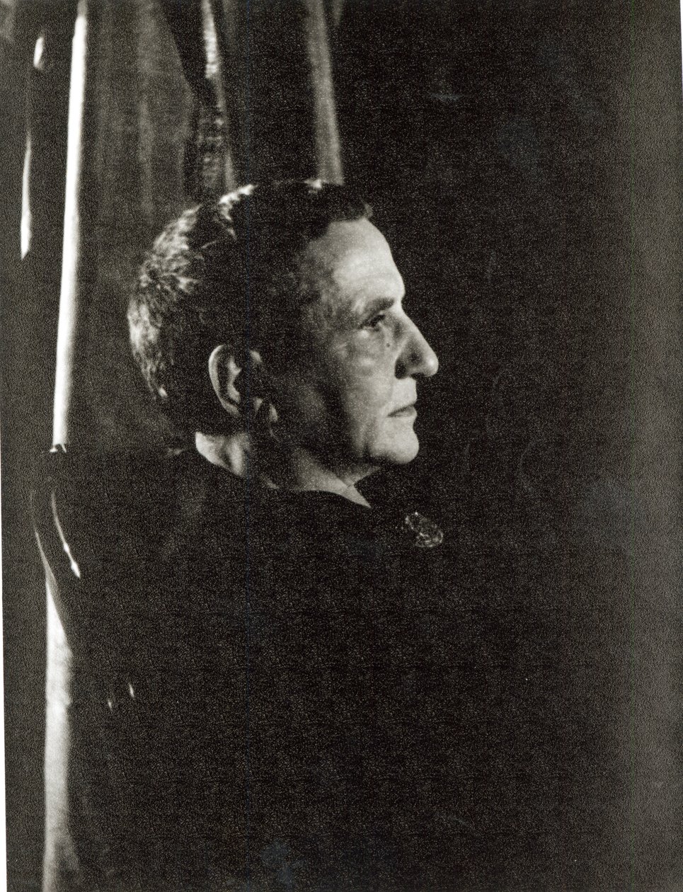 Gertrude Stein (1874-1946) by Carl Van Vechten