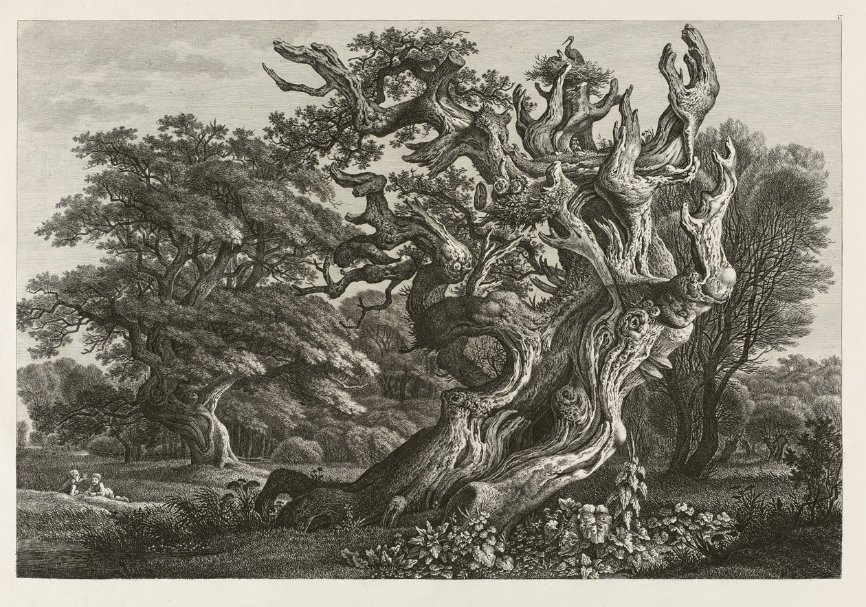 Fantastic Large Oak Tree with a Stork