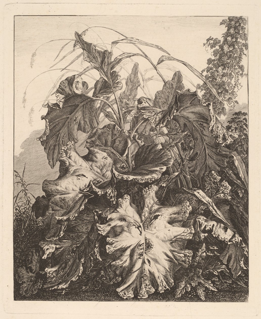 Foliage with Reeds by Carl Wilhelm Kolbe