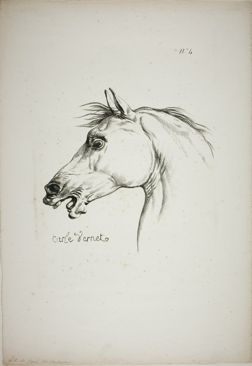 Detail of Horse