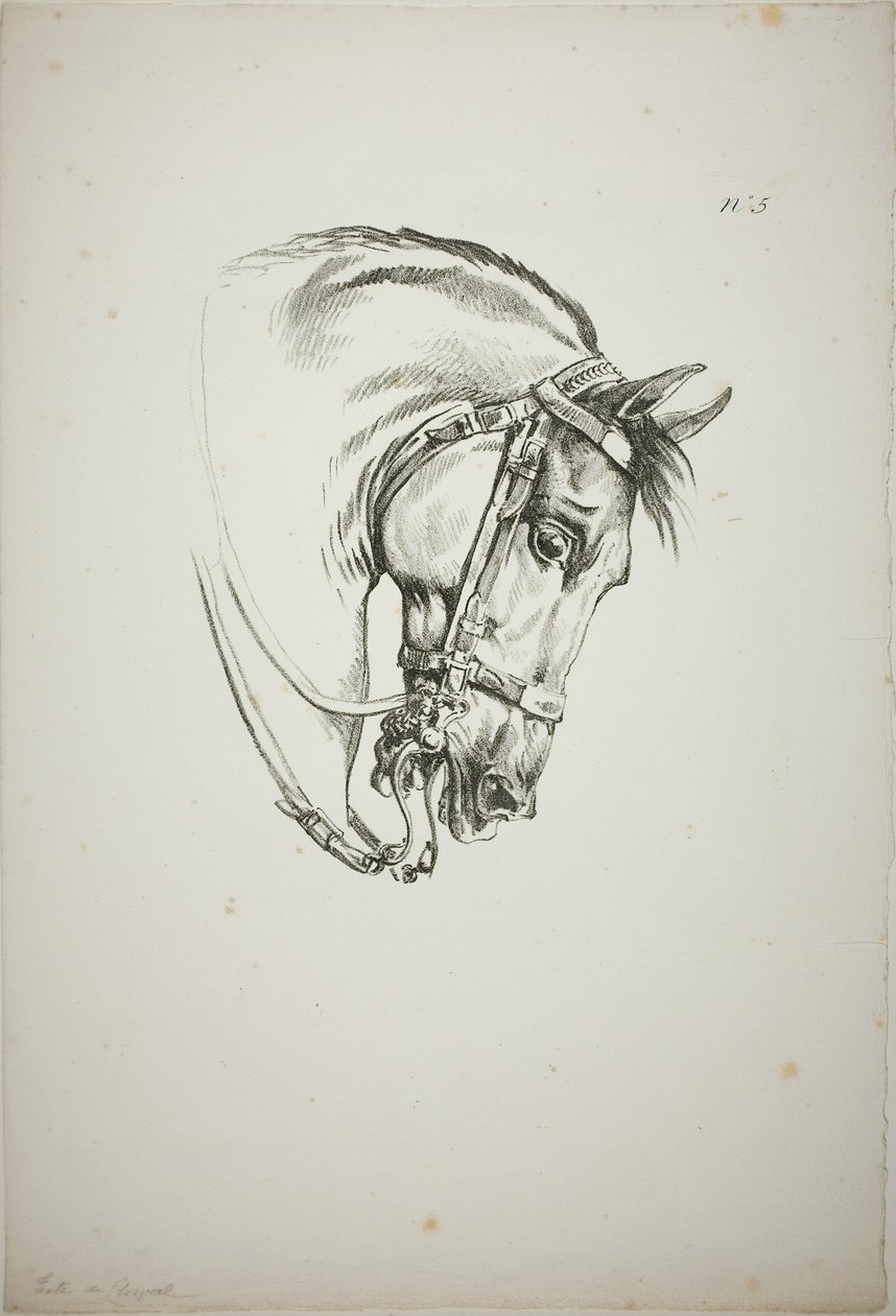 Detail of Horse