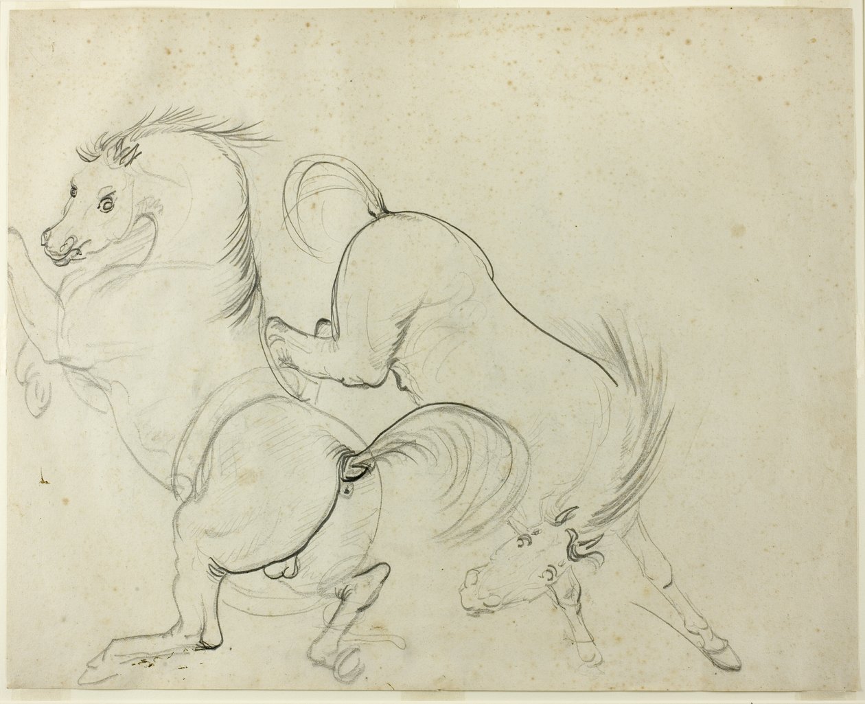 Two Horses Cavorting (recto); Man on a Kicking Horse (verso) by Carle Vernet