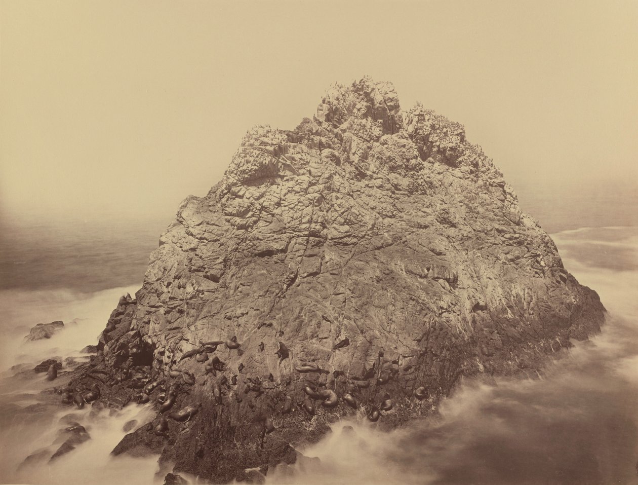 Sugar Loaf Island, Farallons, 1868/1869 by Carleton Emmons Watkins