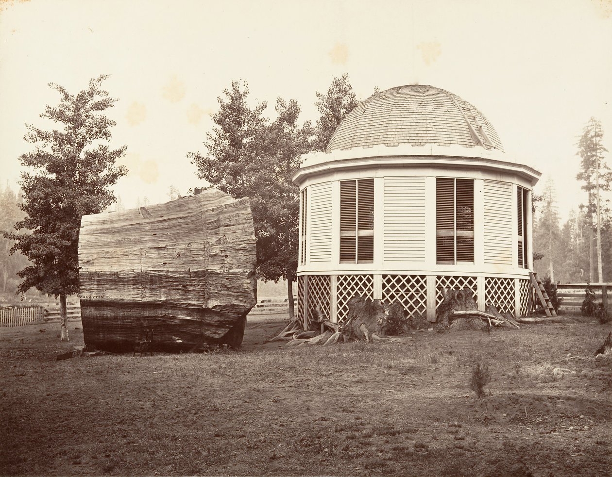 The House over a Stump of a Big Tree by Carleton Emmons Watkins