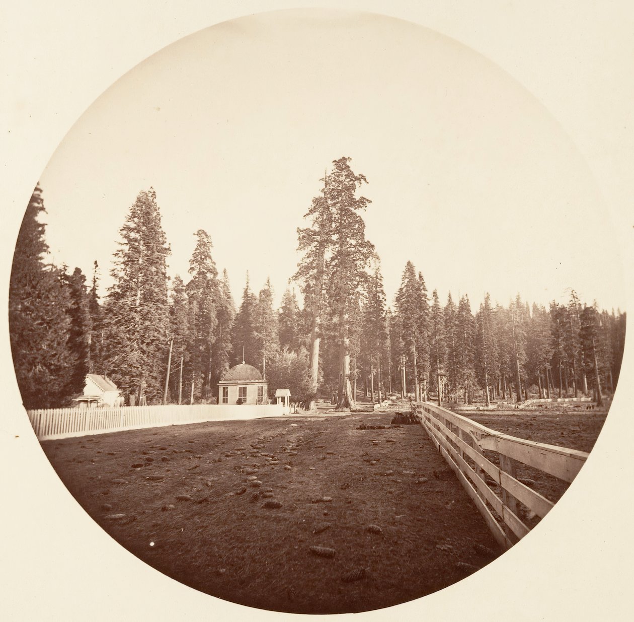 The Sentinels by Carleton Emmons Watkins