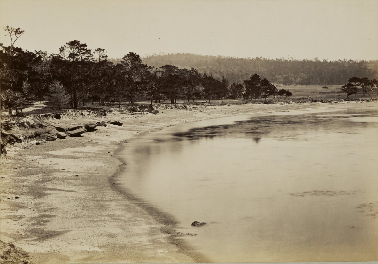 Coast View near Monterey by Carleton Watkins