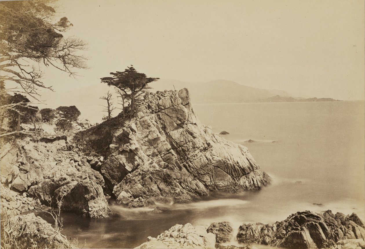 Cypress Point by Carleton Watkins