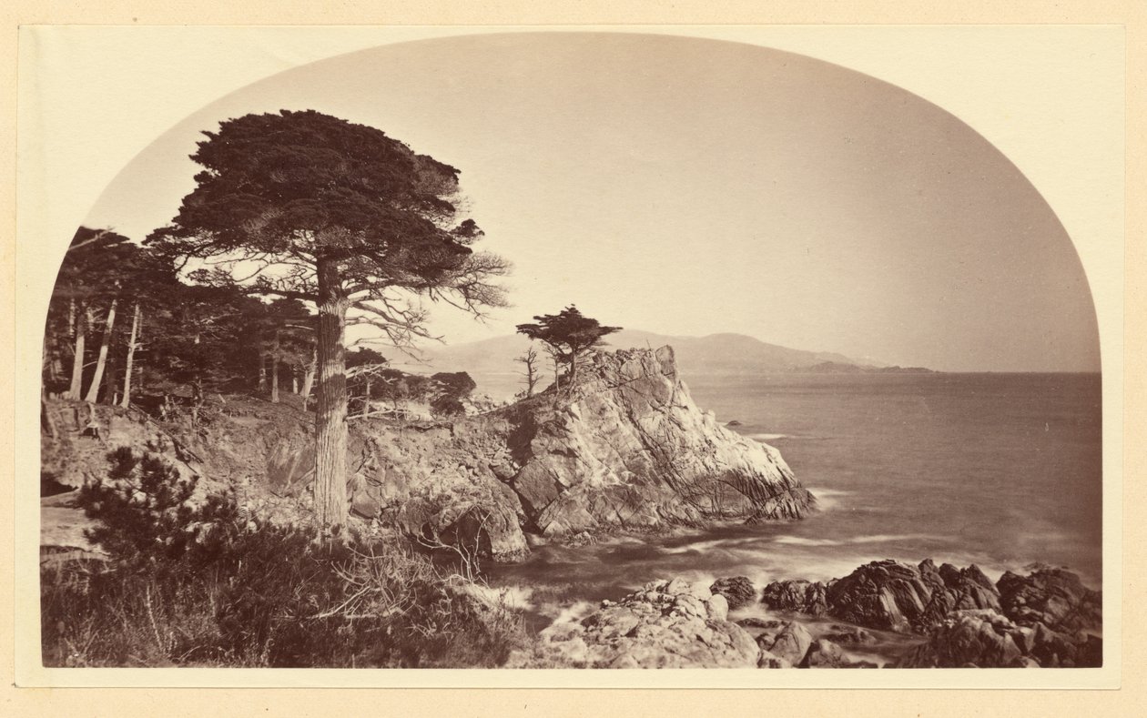 Cypress Point from Cypress Drive, Monterey California by Carleton Watkins