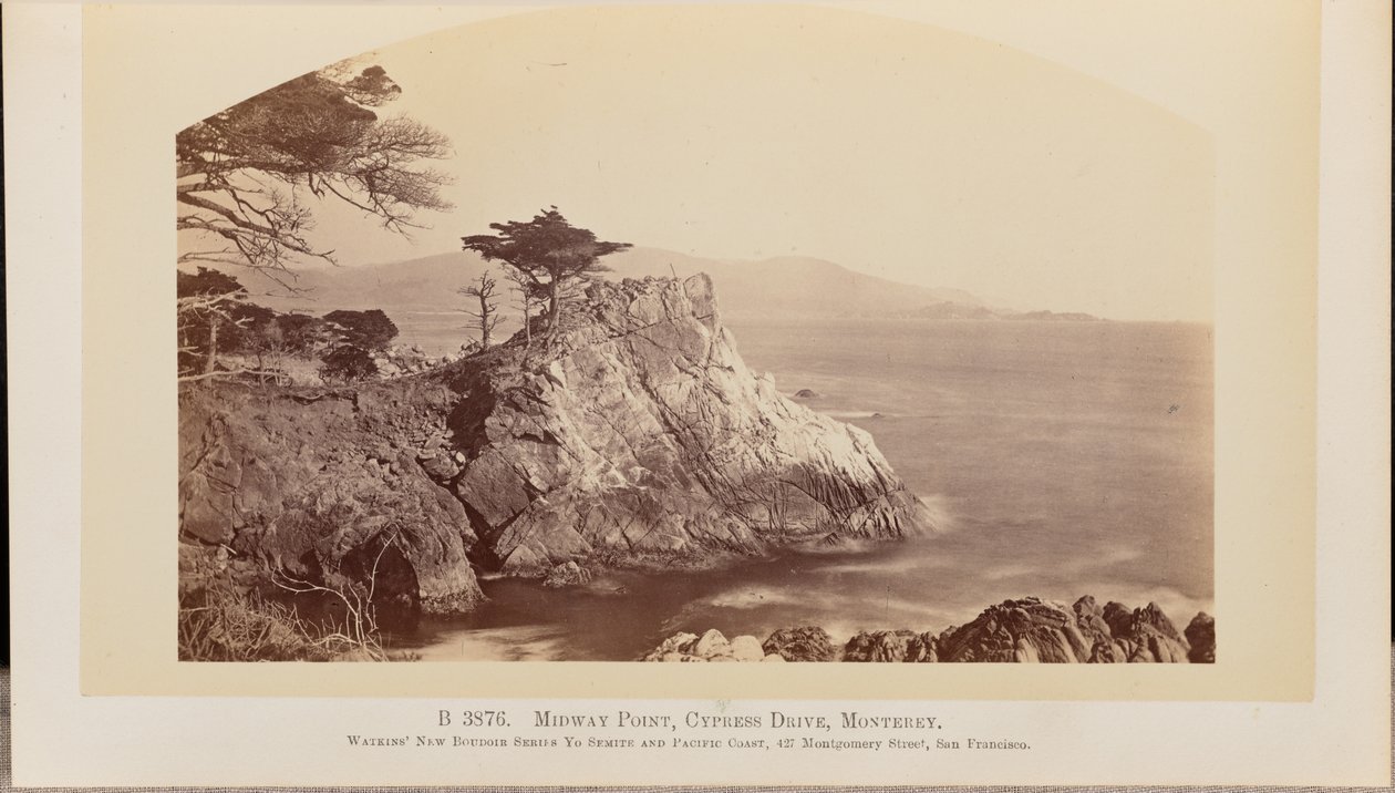Midway Point, Cypress Drive, Monterey by Carleton Watkins