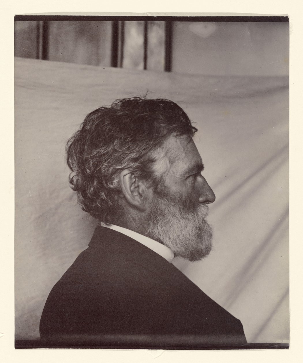 Portrait of George Davidson by Carleton Watkins