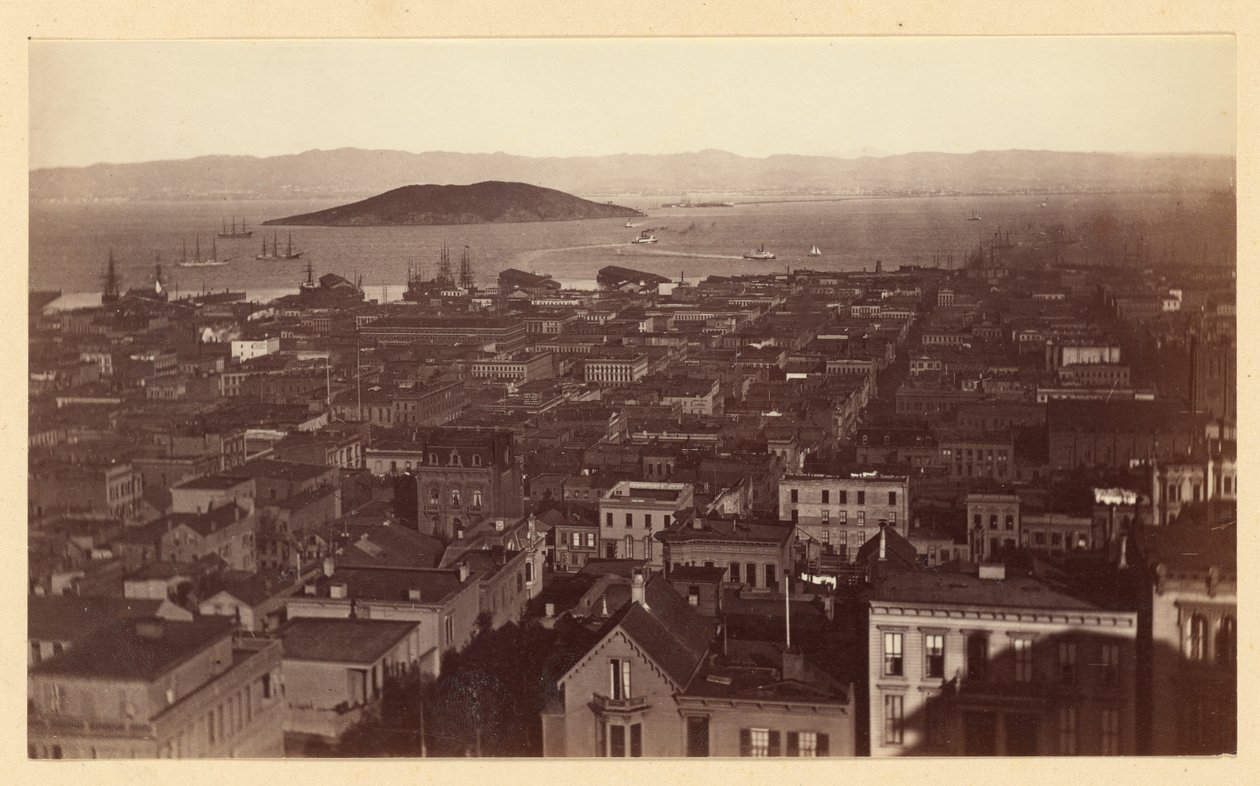 View from Cal St. Hill S.F. by Carleton Watkins