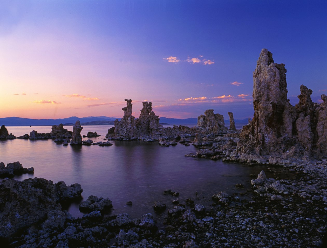Mono Lake, 2013 by Carli Choi