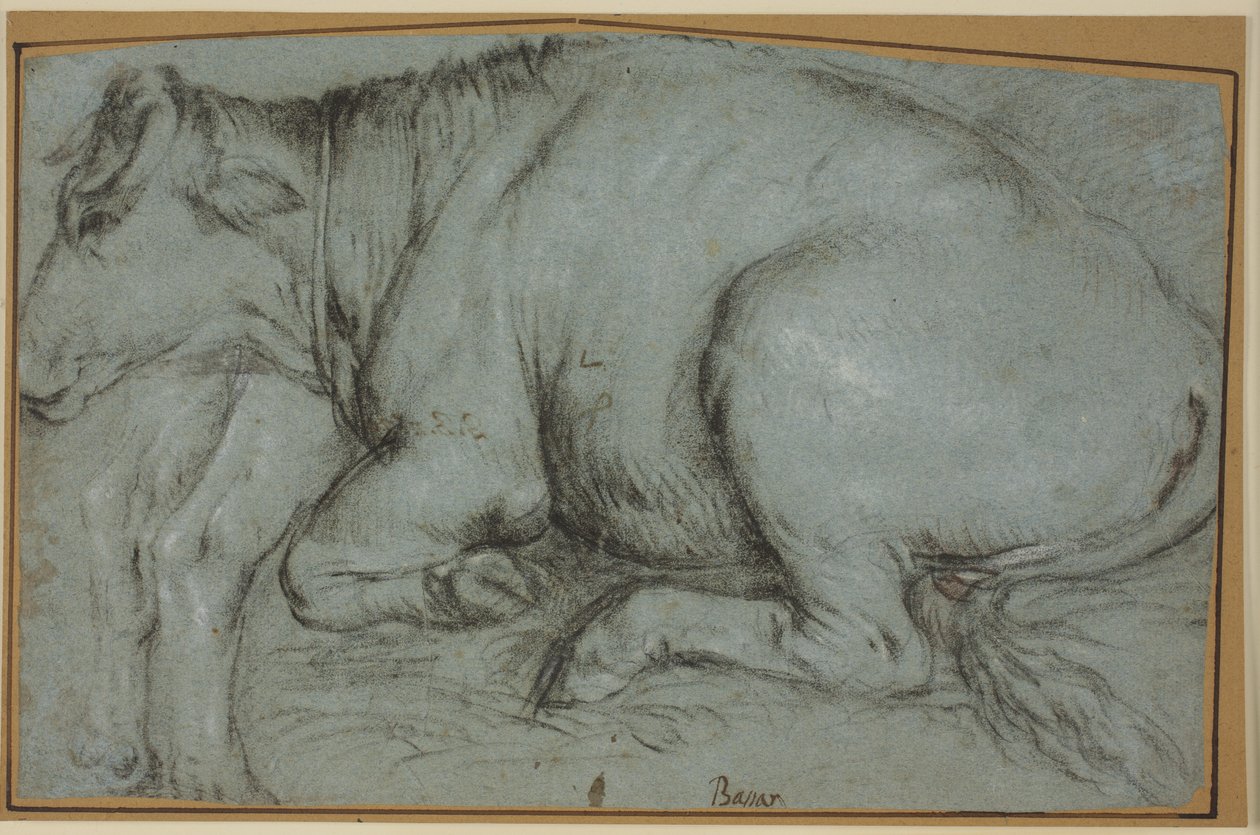 Recumbent Cow and Study for the Hind Legs of a Standing Cow by Carlo Caliari