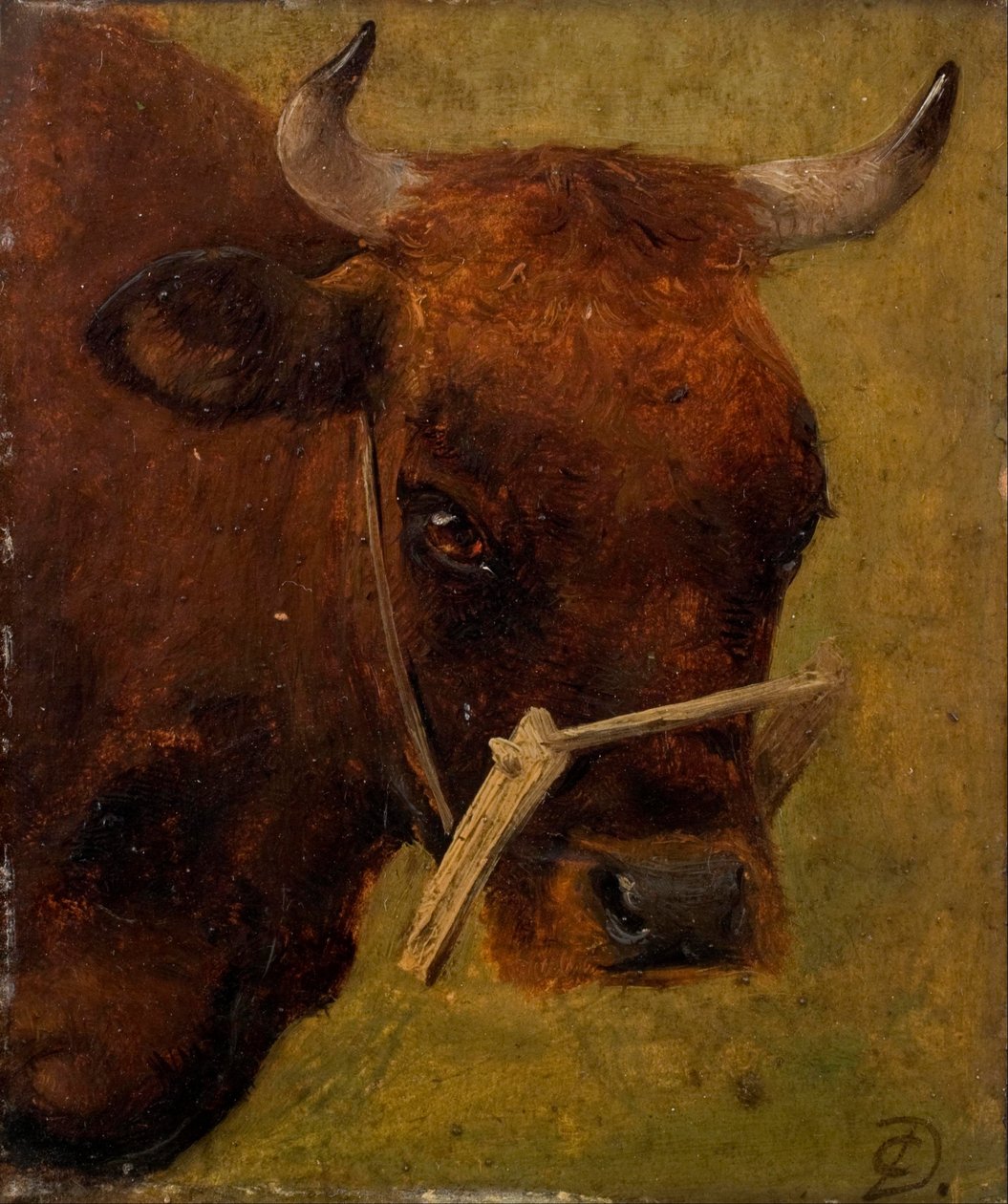 Head of a Cow. Study. by Carlo Dalgas